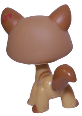 #1174 Destiny Cat